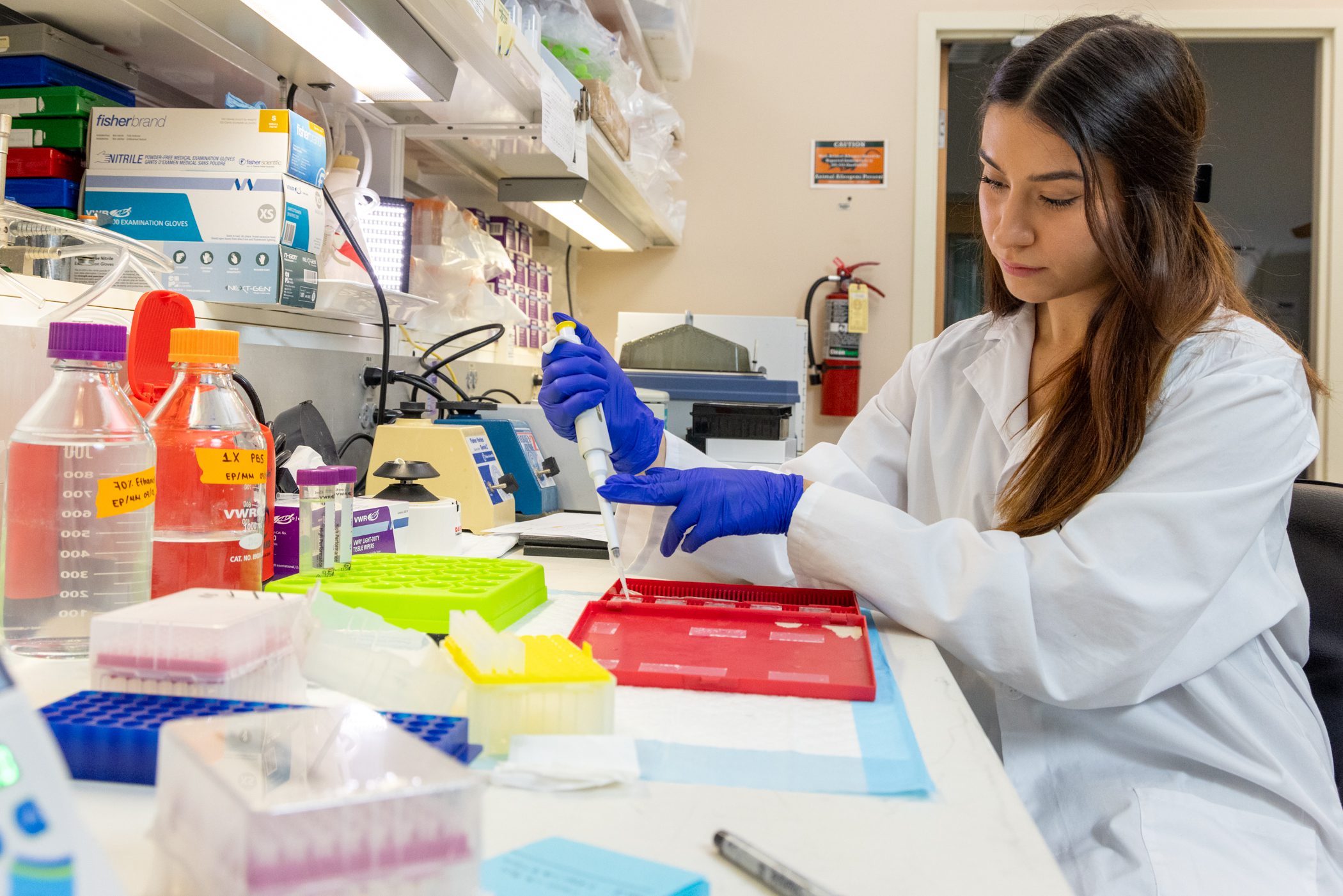 2026 Steinbrenner Summer Scholars Program Accepting Applications