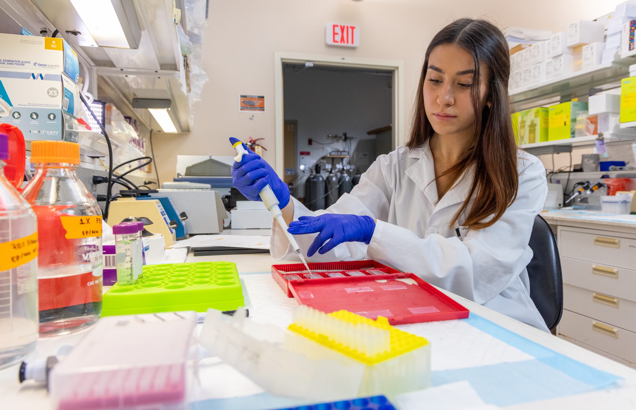 2025 Henry G. Steinbrenner Research Scholar: Eva Pechlivandou