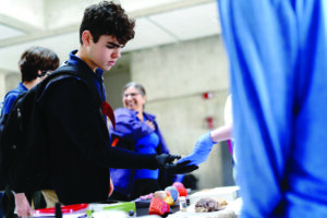 A student engaged at the Brain Fair at the Miami-Dade STEAM Expo