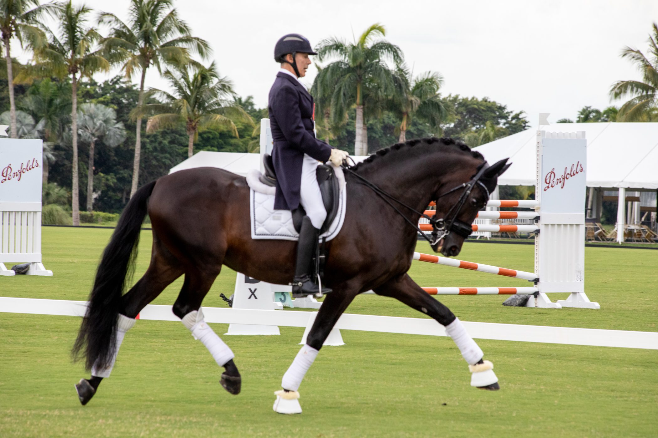 Dressage demonstration at the Equestrian Legends event for The Buoniconti Fund in Wellington Florida