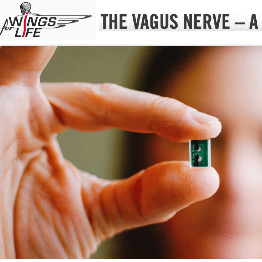 The Vagus Nerve - A Jack of All Trades