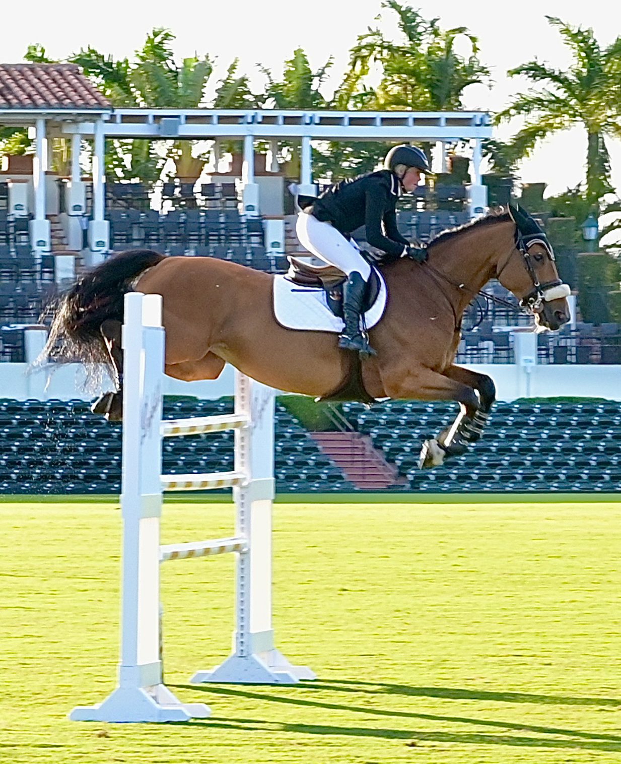4th Annual Equestrian Legends Celebrity Polo Match & Gala