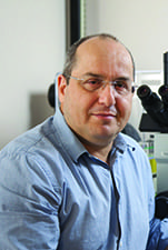 Pantelis Tsoulfas, Ph.D.