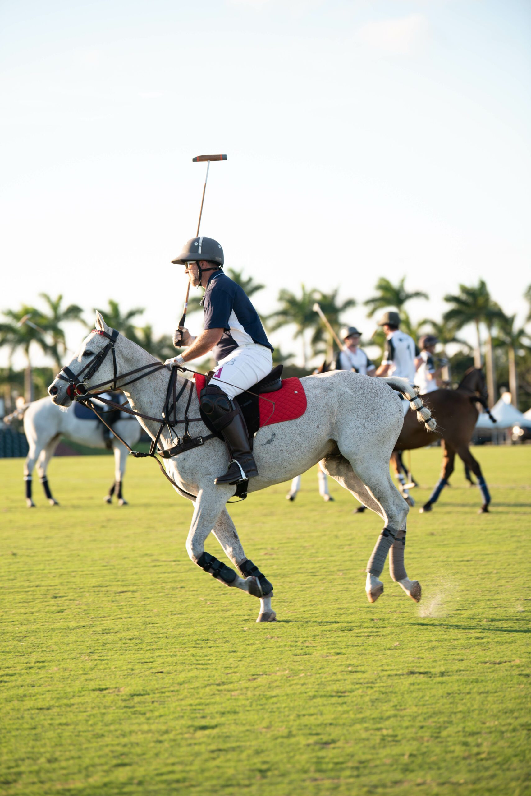 4th Annual Equestrian Legends Celebrity Polo Match & Gala